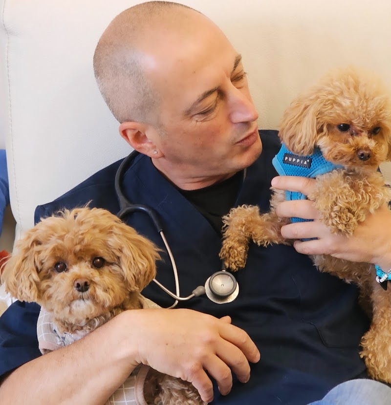 Ambulatorio Veterinario Dr. Rossomando