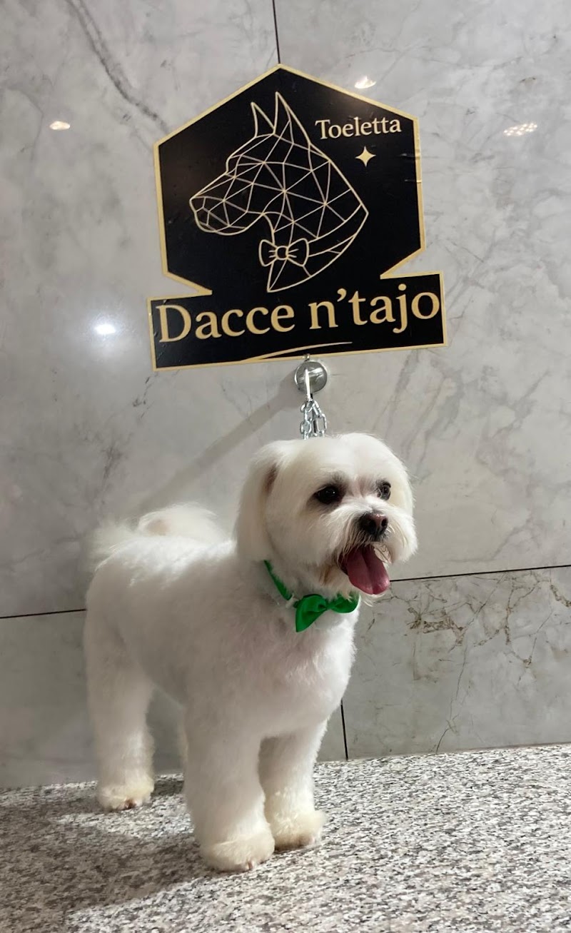 Dacce n'tajo toeletta