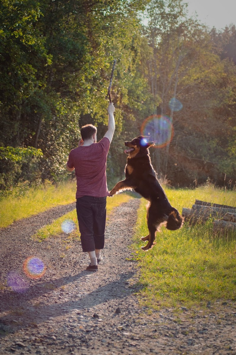 Francesco - DogSitter professionista