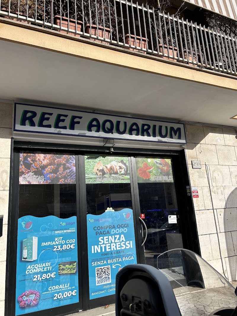 ReeF Aquarium