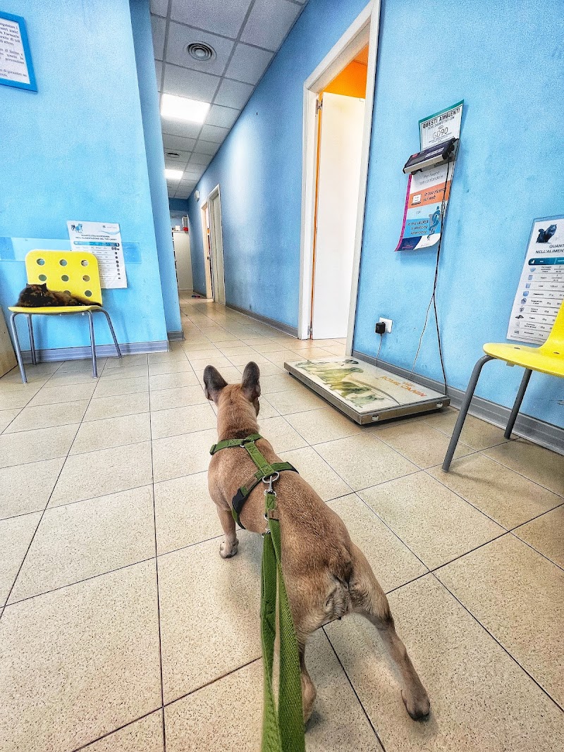 Clinica Veterinaria Prima Porta