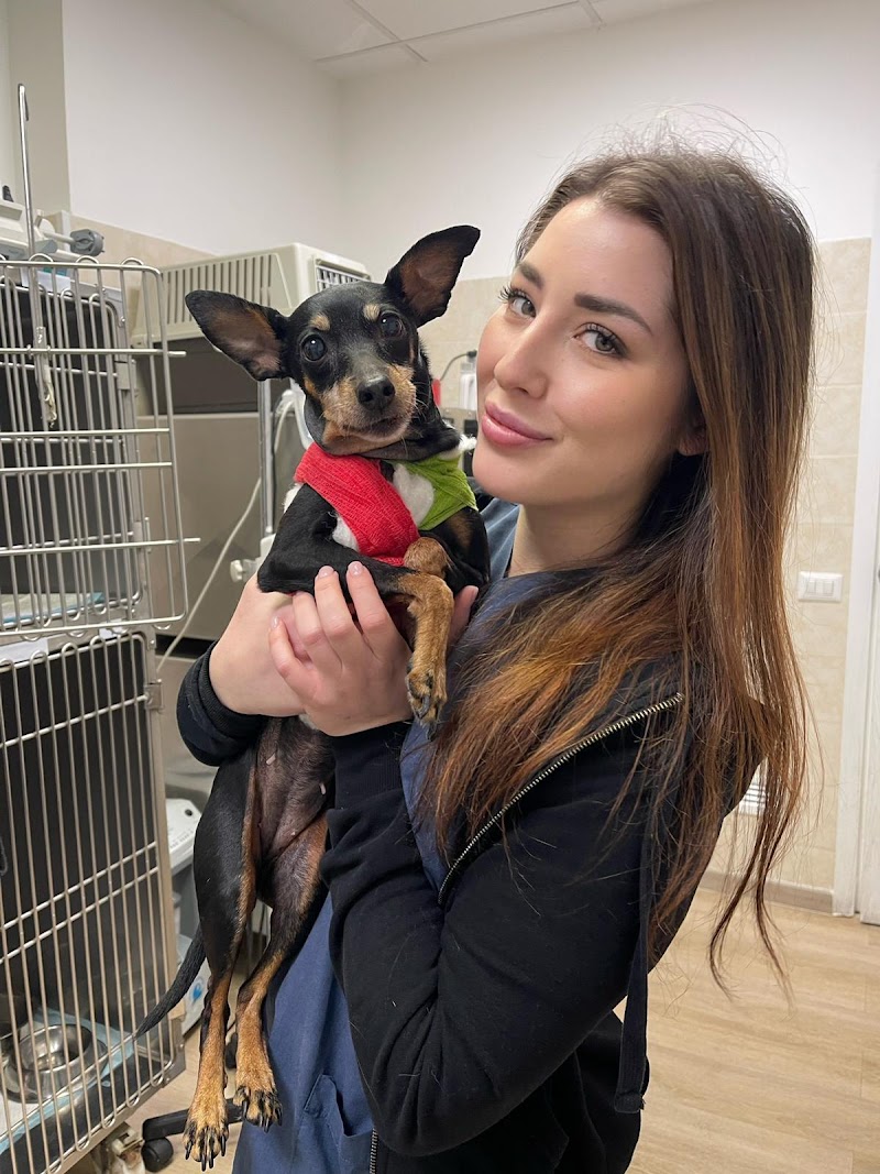 Medico veterinario – Dott.ssa Angelica Spaccini - Visite a domicilio