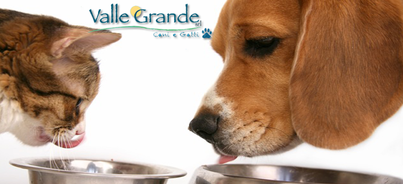 Valle Grande Cani & Gatti