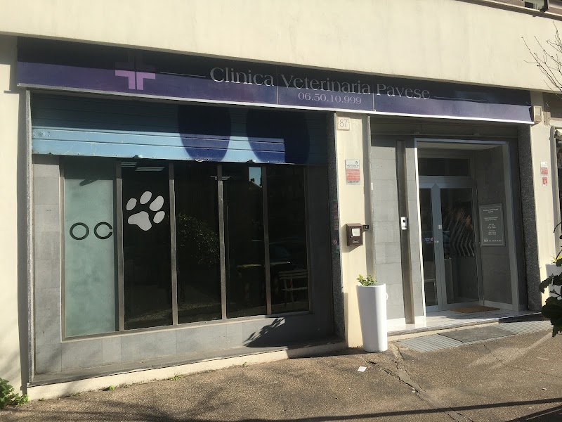 Veterinary Clinic Pavese