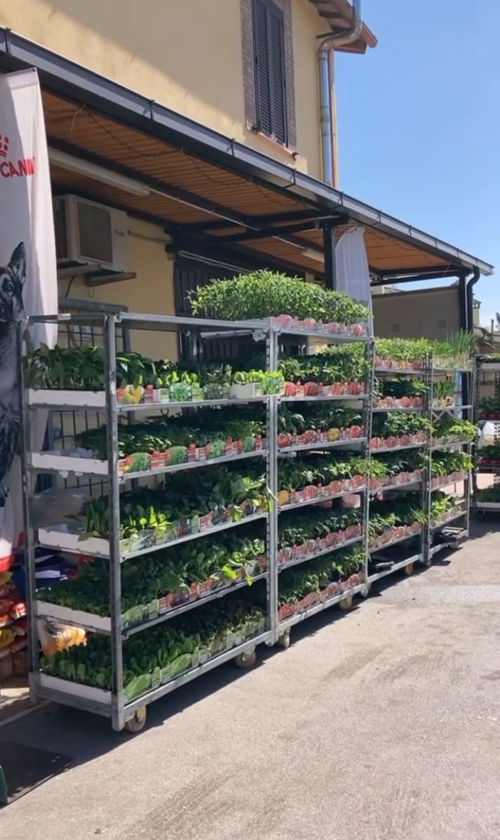 AGRICOLA VENETA SRL