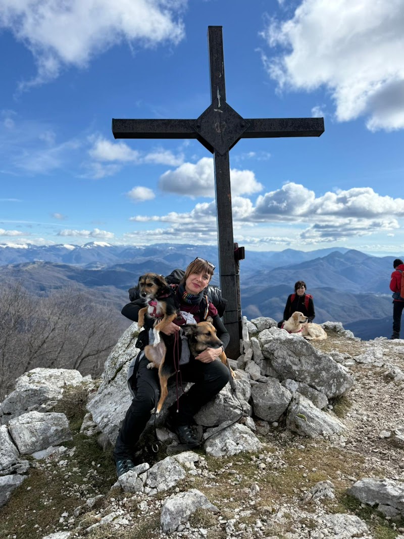 I Love Trekking Dogs