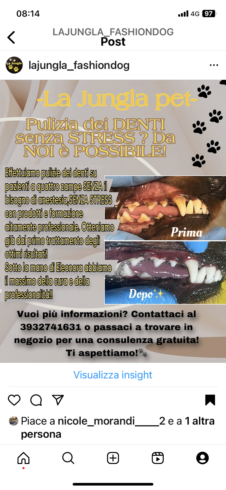La Jungla Fashion Dog - Toeletta e Negozio Animali