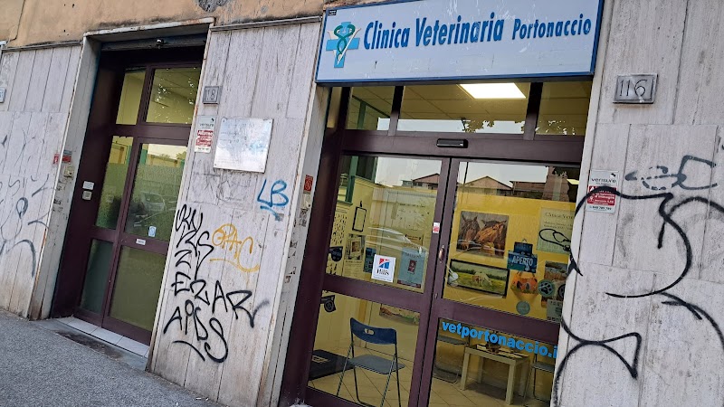Veterinary Clinic Portonaccio