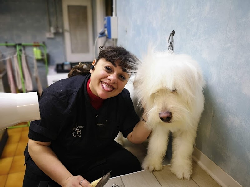 ...mi FIDO di te... toeletta per cani