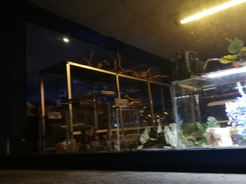 Aquarium
