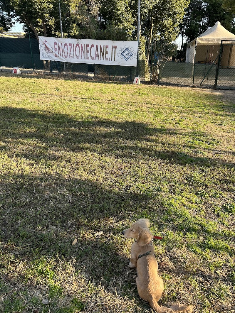 Daniele Mosciatti “Ssd Emozione Cane”