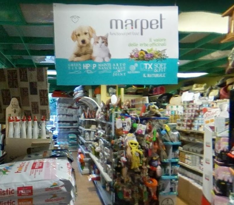 Animal Point Roma