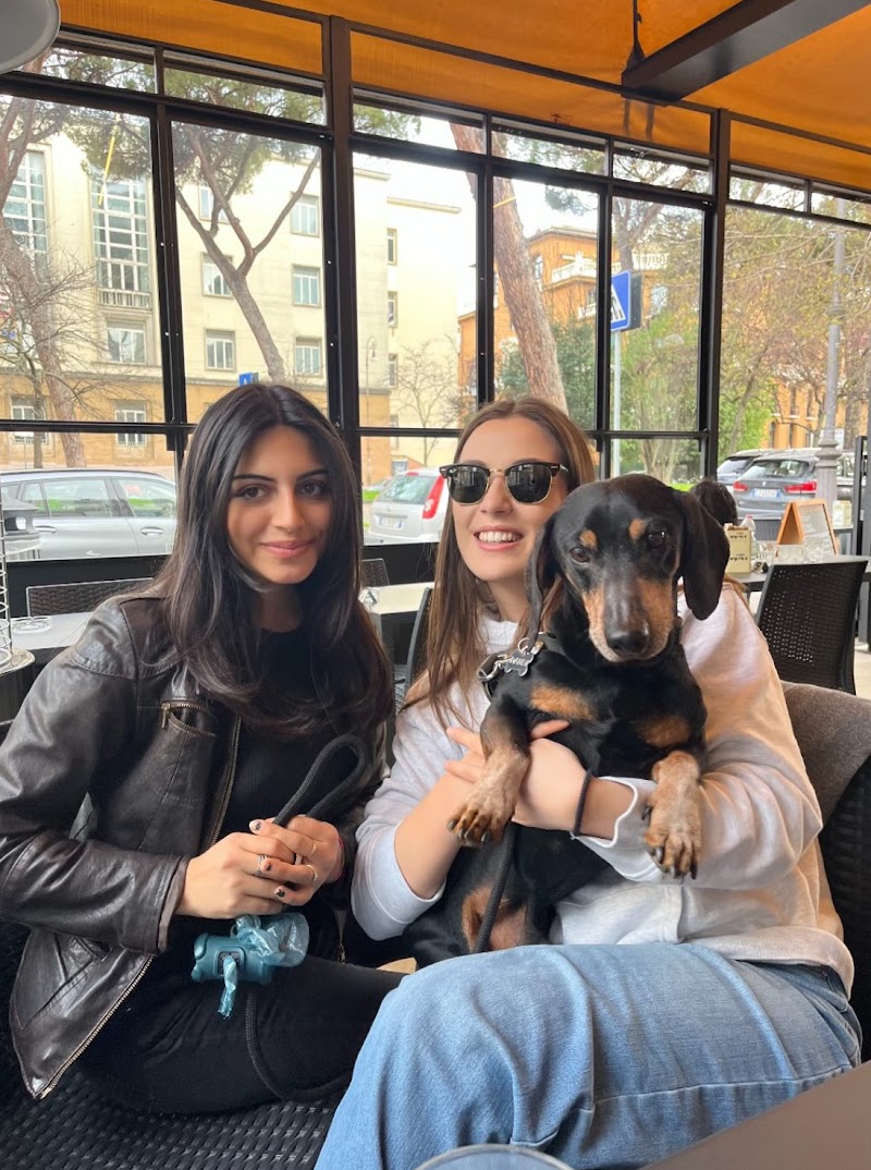 Rachele Dogsitter - Roma