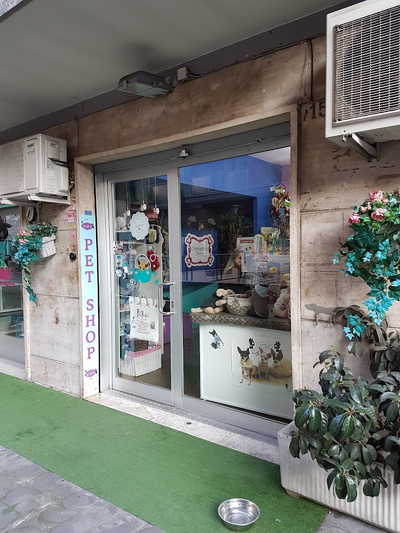 Pet Model Toiletries and Accessories for Dogs and Cats