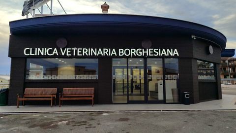 Veterinary Clinic Borghesiana