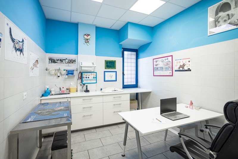 Clinica Veterinaria Frascati