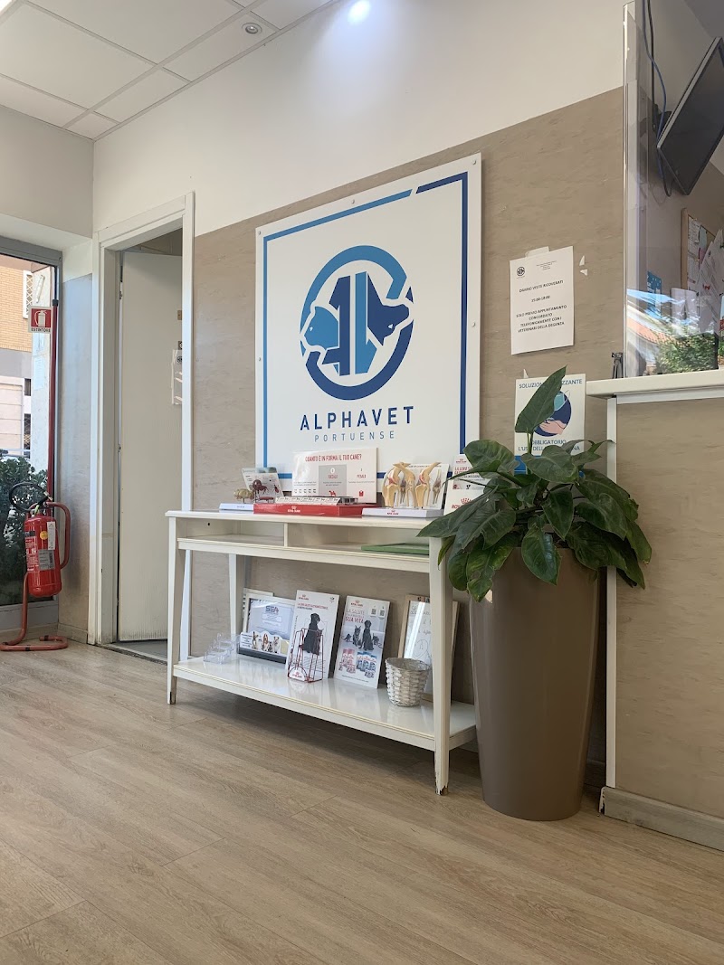 Clinica Veterinaria H24 Pet'S Life