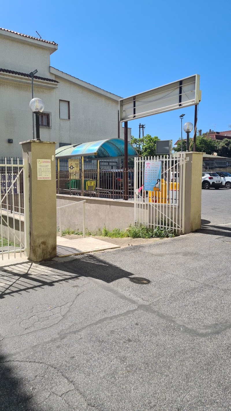 Ambulatorio Veterinario Dott.ssa Marcellino Rosa