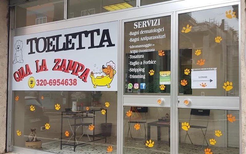 TOELETTA QUA LA ZAMPA