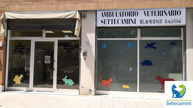 Ambulatorio Veterinario Settecamini