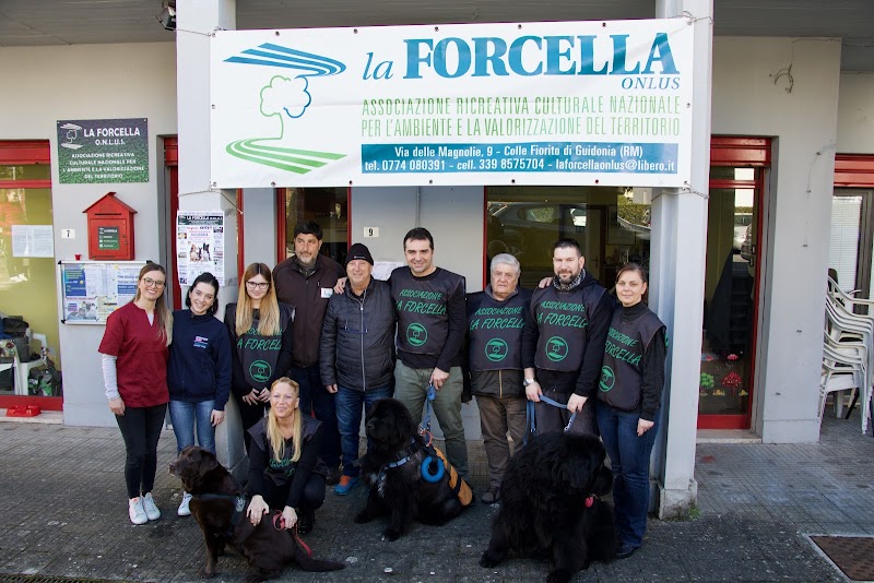 Associazione La Forcella Onlus