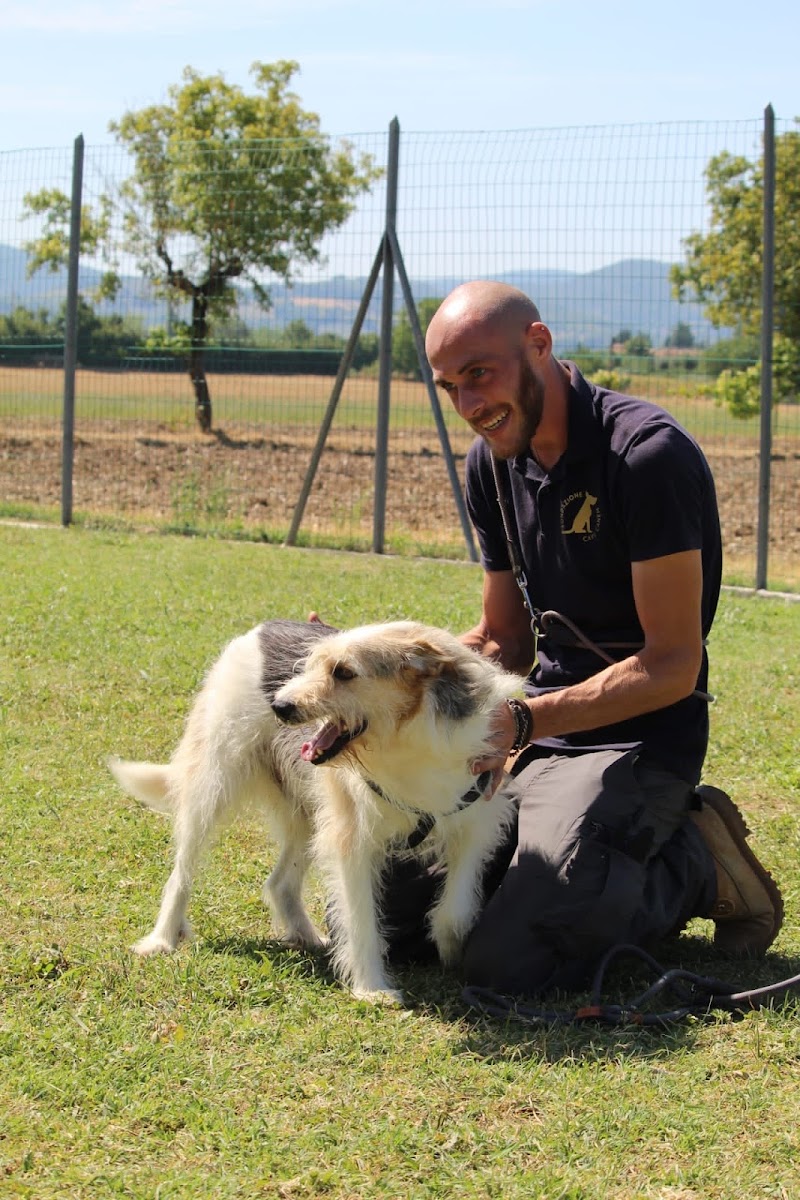 Fondazione CAVE CANEM ETS
