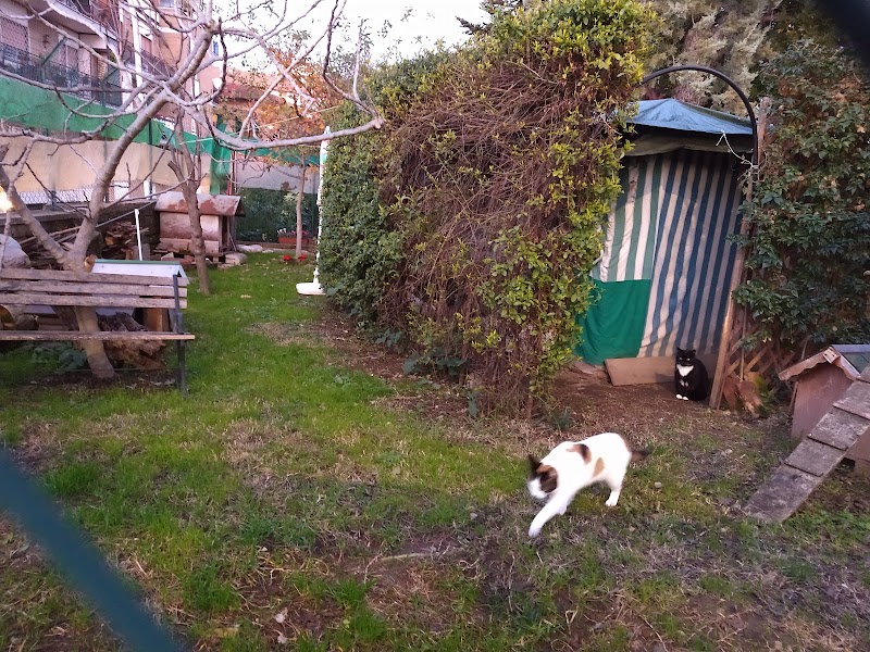Oasi felina Garbatella