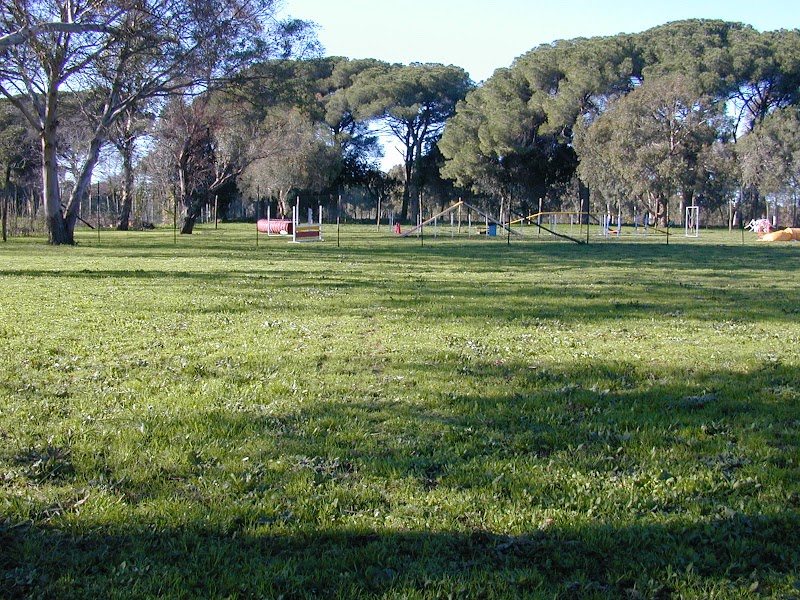 Centro Cinofilo Balla Coi Lupi