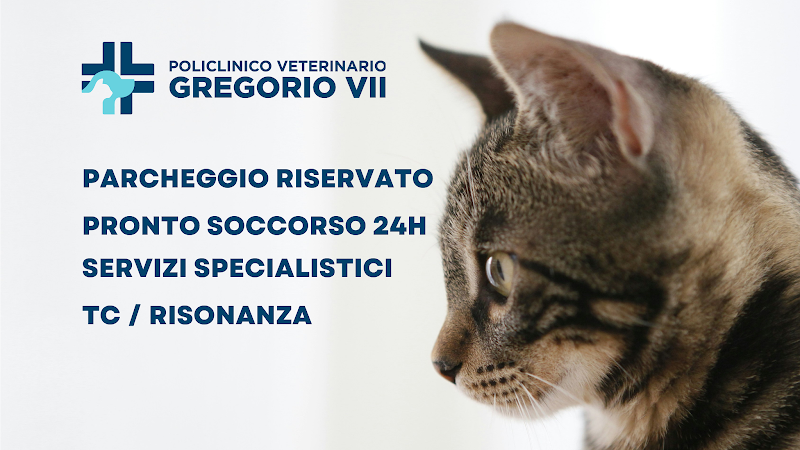 Policlinico Veterinario Gregorio VII - Gruppo Ca' Zampa