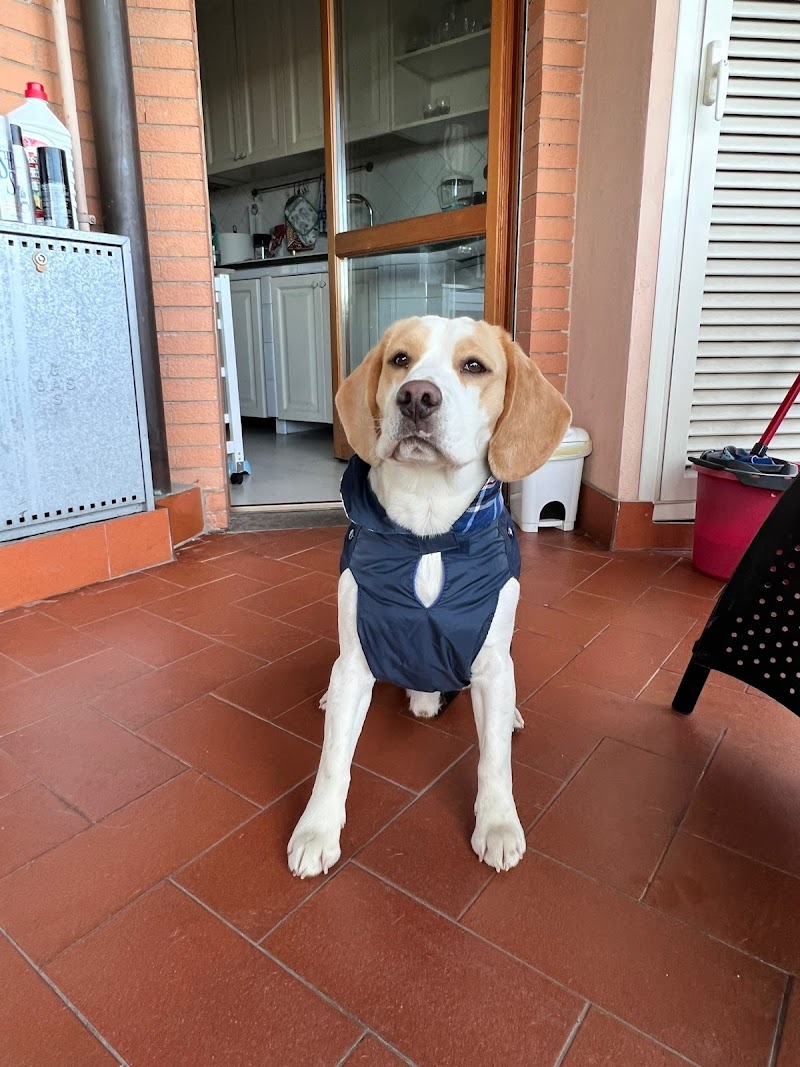Ambulatorio Veterinario Argenti Carrai