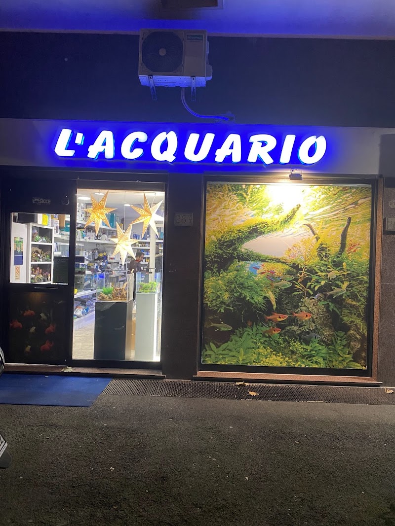 L' Acquario Roma Montesacro - Rivenditore ADA