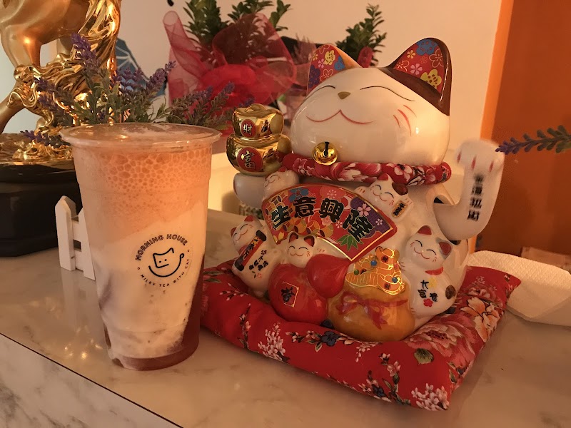 Morning Cat House 猫宁 (Bubble Tea 奶茶店) 猫咖