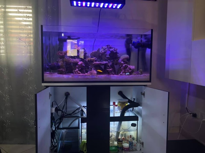 Hard Reef due.zero Srls