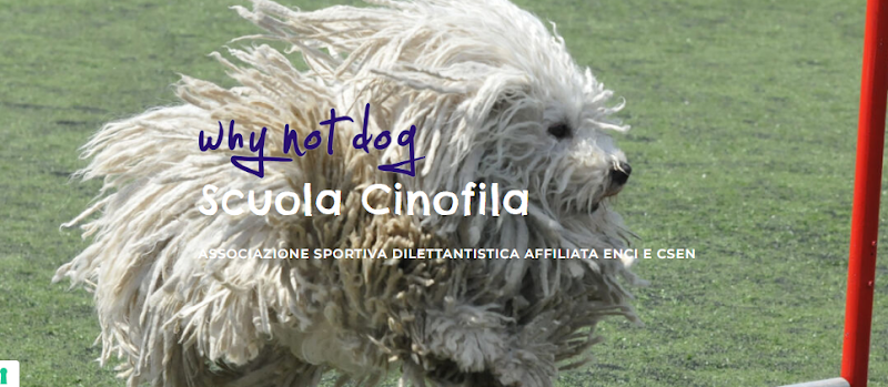 Why Not Dog - Centro cinofilo