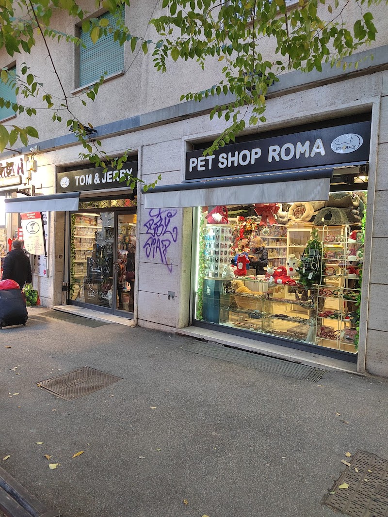 Tom & Jerry #petshoproma