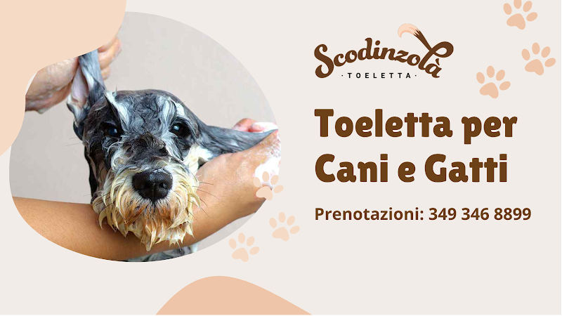 Scodinzolà - Toeletta Roma EUR