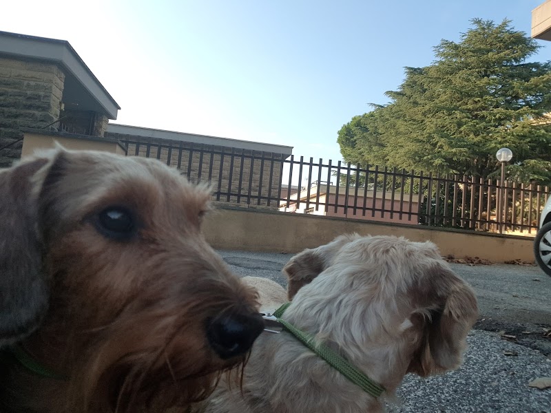 Ambulatorio Veterinario - Dr.ssa Kerastari Eugenia