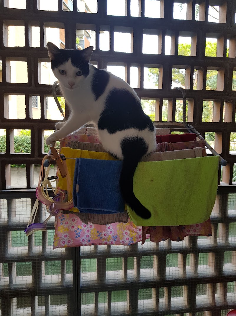 Petshop