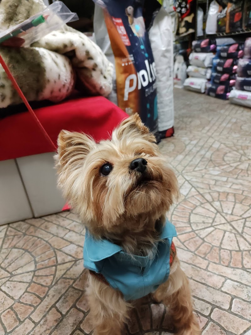 Bauu...tiful