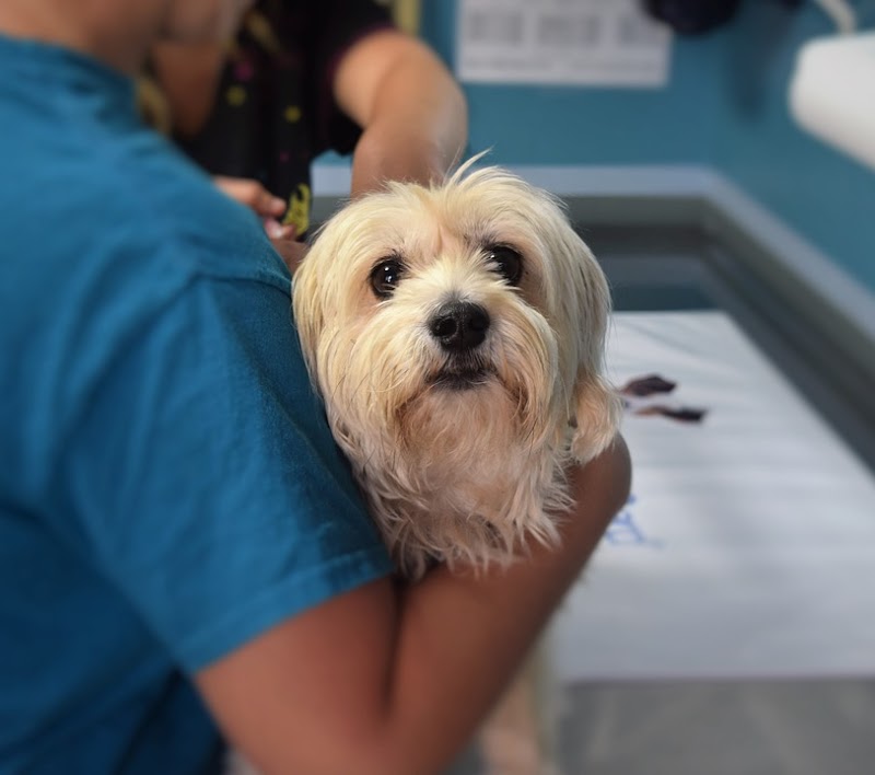 The Oaks Veterinary Clinic