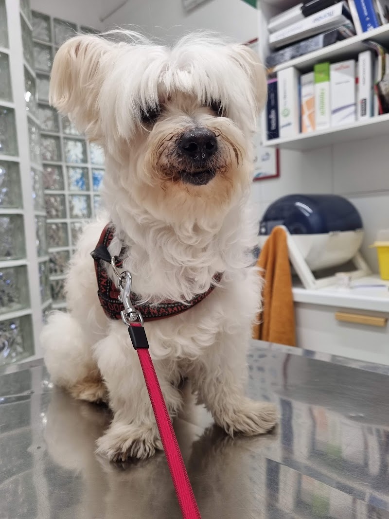 Clicina Veterinaria di Tosto