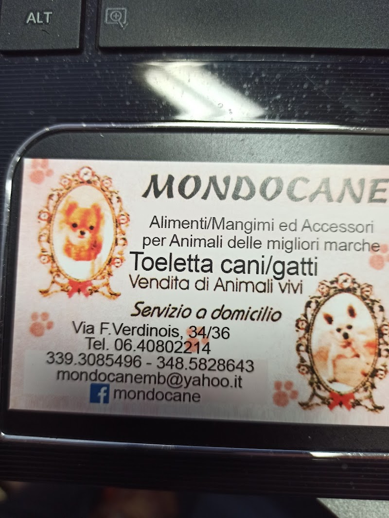 MONDO CANE