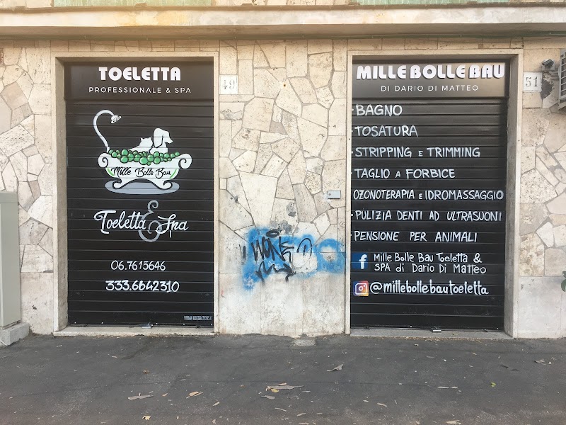 Mille Bolle Bau Tuscolana Toeletta & SPA Professionale di Dario Di Matteo
