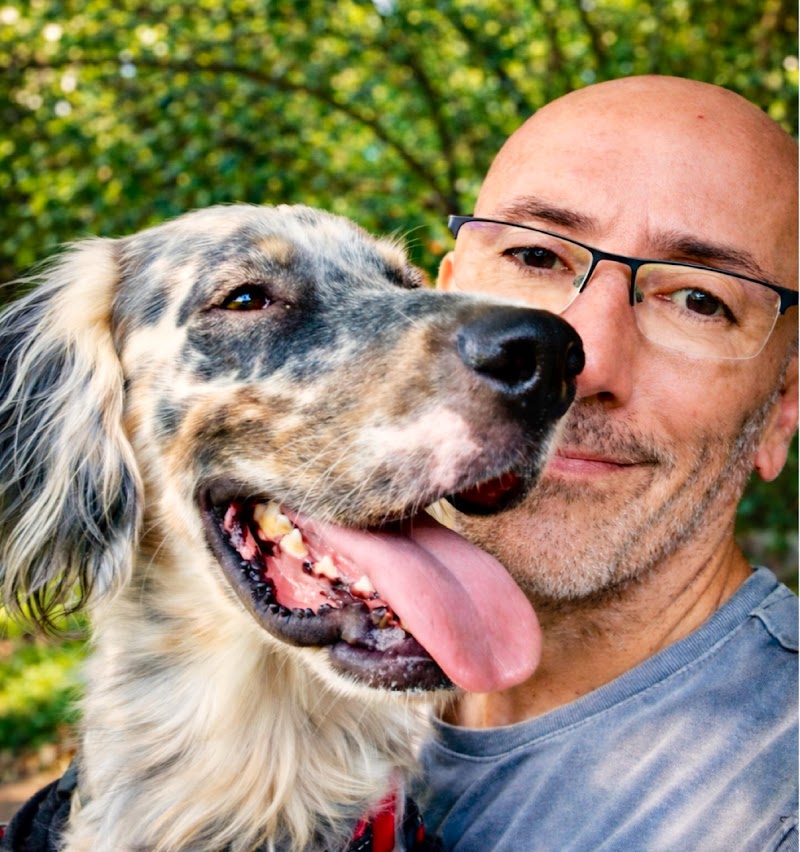 DOG WALKER ACILIA