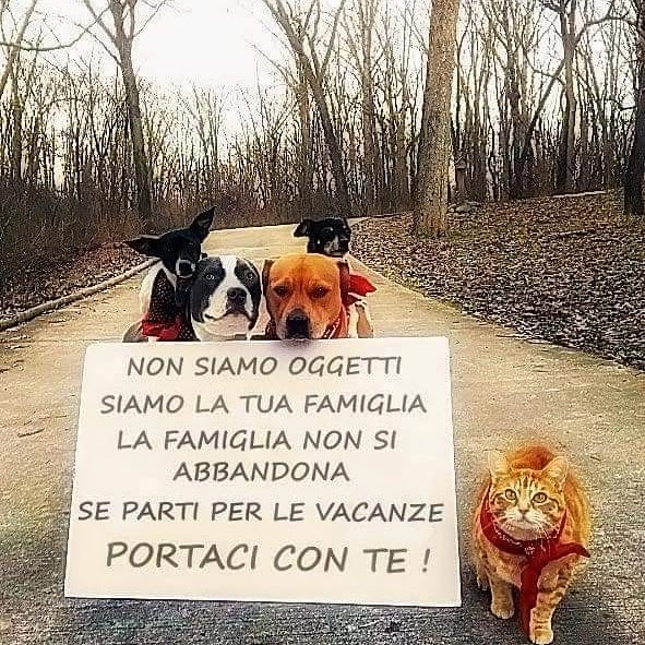 Perreca Giuseppe