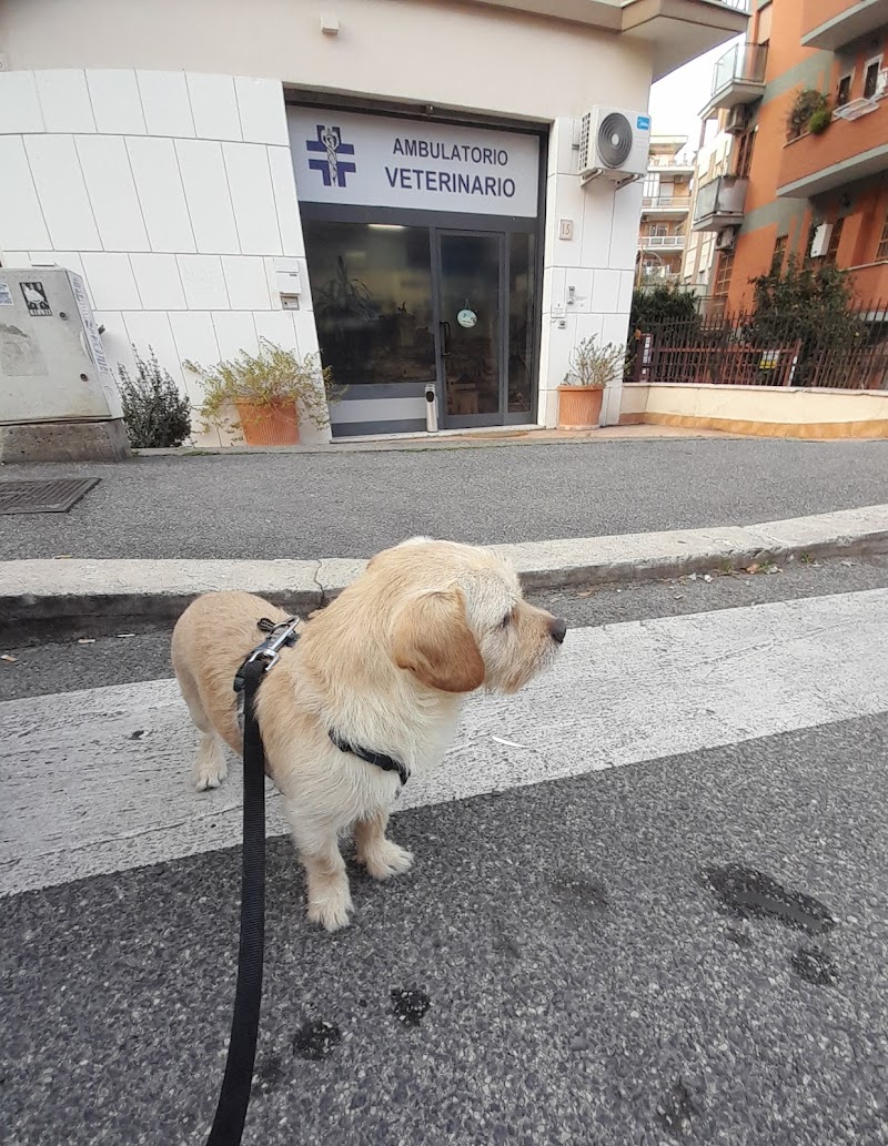 Ambulatorio Veterinario Dott.ssa Federica Gregori