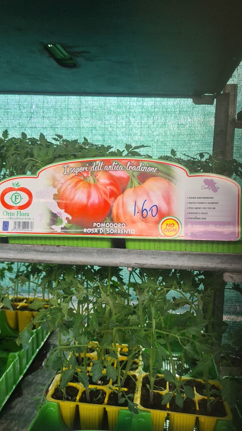 Agricola Ponte Galeria