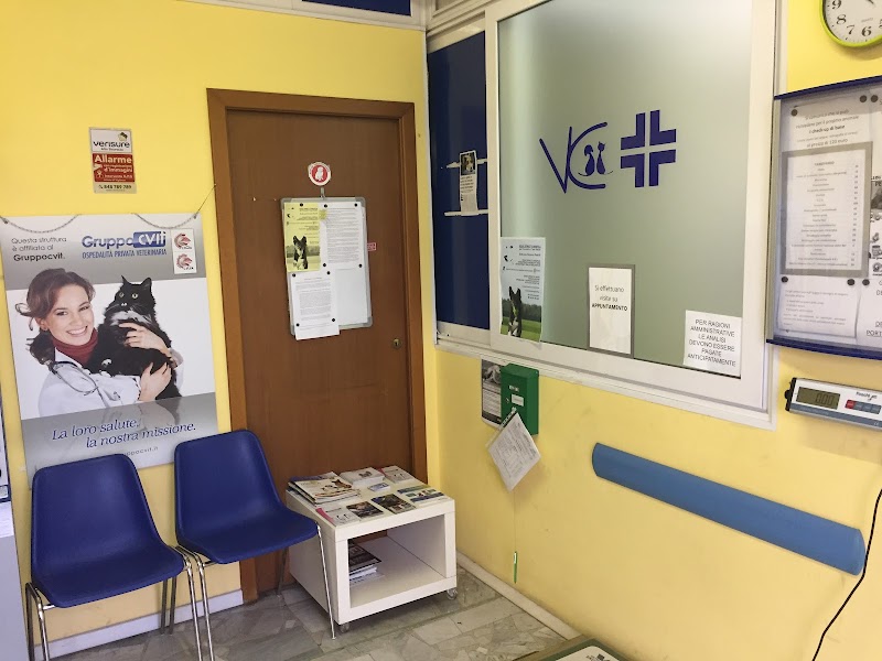 Ambulatorio Veterinario Collatino