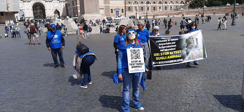 OIPA - Organizzazione Internazionale Protezione Animali