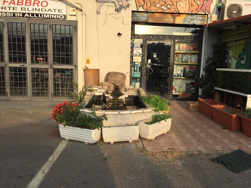 Preistoria Roma